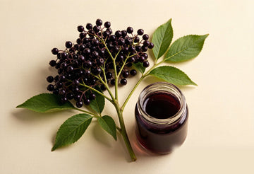  Dark purple black elderberries clustered on stems with green leaves beside a glass jar of elderberry syrup on a warm cream background, illustrating the elderberry benefits for cold and flu theme.