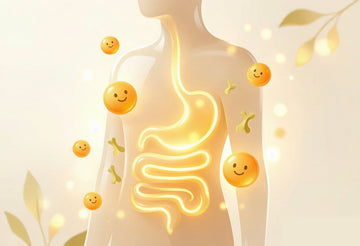 Editorial illustration of a stylized human torso with a glowing golden digestive tract and friendly probiotic bacteria orbs floating around it on a warm cream background, illustrating the theme of best probiotic for bloating.