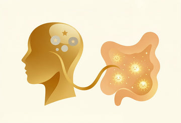 Editorial illustration of a stylized human head in profile connected by a golden vagus-nerve pathway to a friendly gut filled with glowing probiotic microbes, illustrating the theme of the gut brain axis.