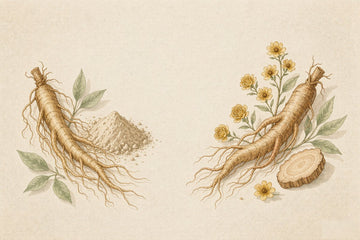 Ashwagandha vs rhodiola: dried ashwagandha roots and powder beside a rhodiola root with golden-yellow blossoms.